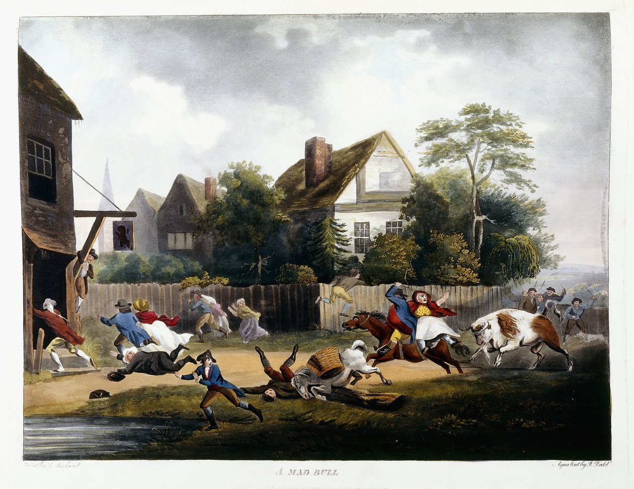 Hullu härkä, 1806 tekijältä Robert Dodd