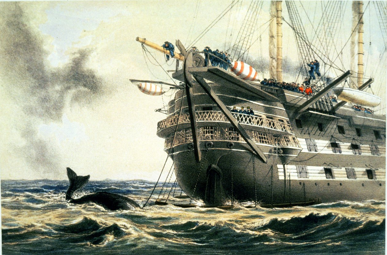 HMS Agamemnon laskemassa alkuperäistä Atlantin kaapelia, William Howard Russellin teoksesta "The Atlantic Telegraph", julkaistu 1866 (värilitro) (ks. myös 192775-778). tekijältä Robert Dudley