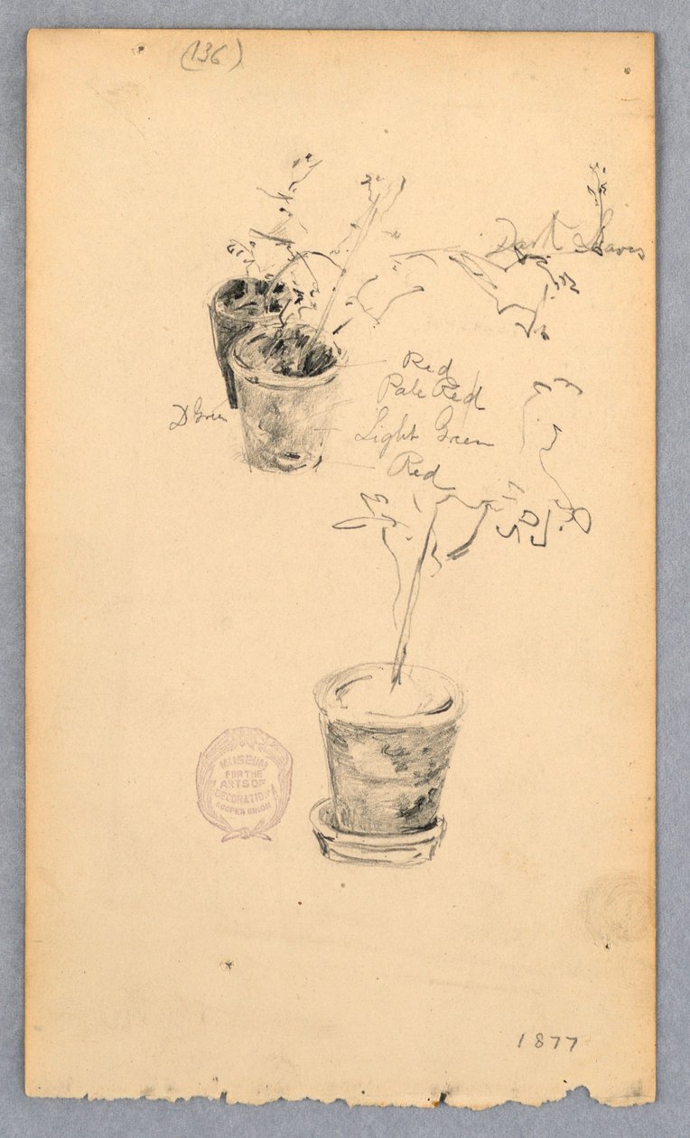 Piirros, Kukkaruukut, 1877 tekijältä Robert Frederick Blum