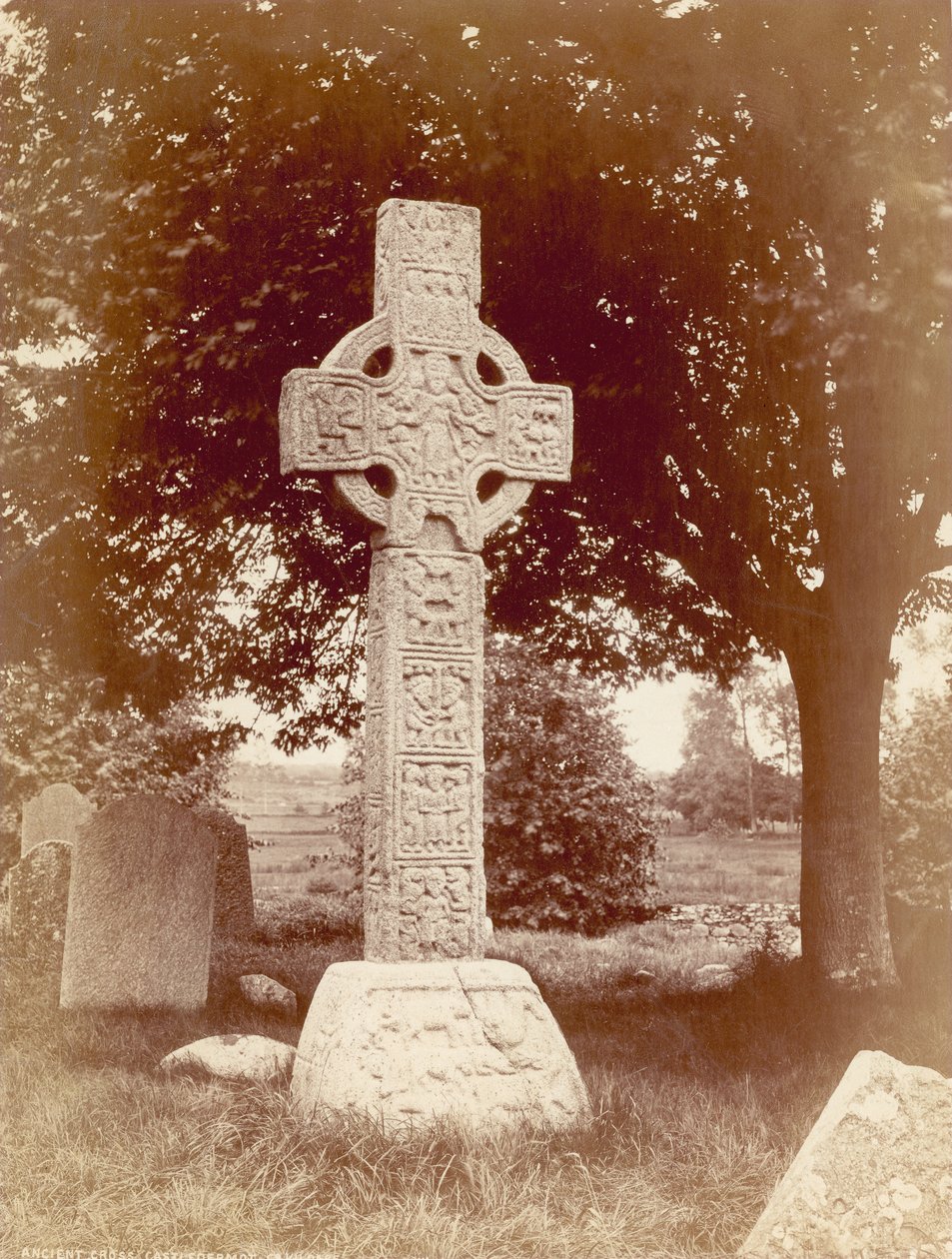 South High Cross Castledermotissa, Co. Kildaressa, Irlannissa (seepiakuva) tekijältä Robert French