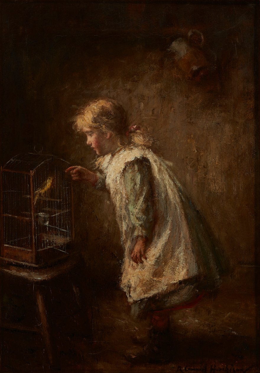 Pet Canary (öljy kankaalle) tekijältä Robert Gemmell Hutchison