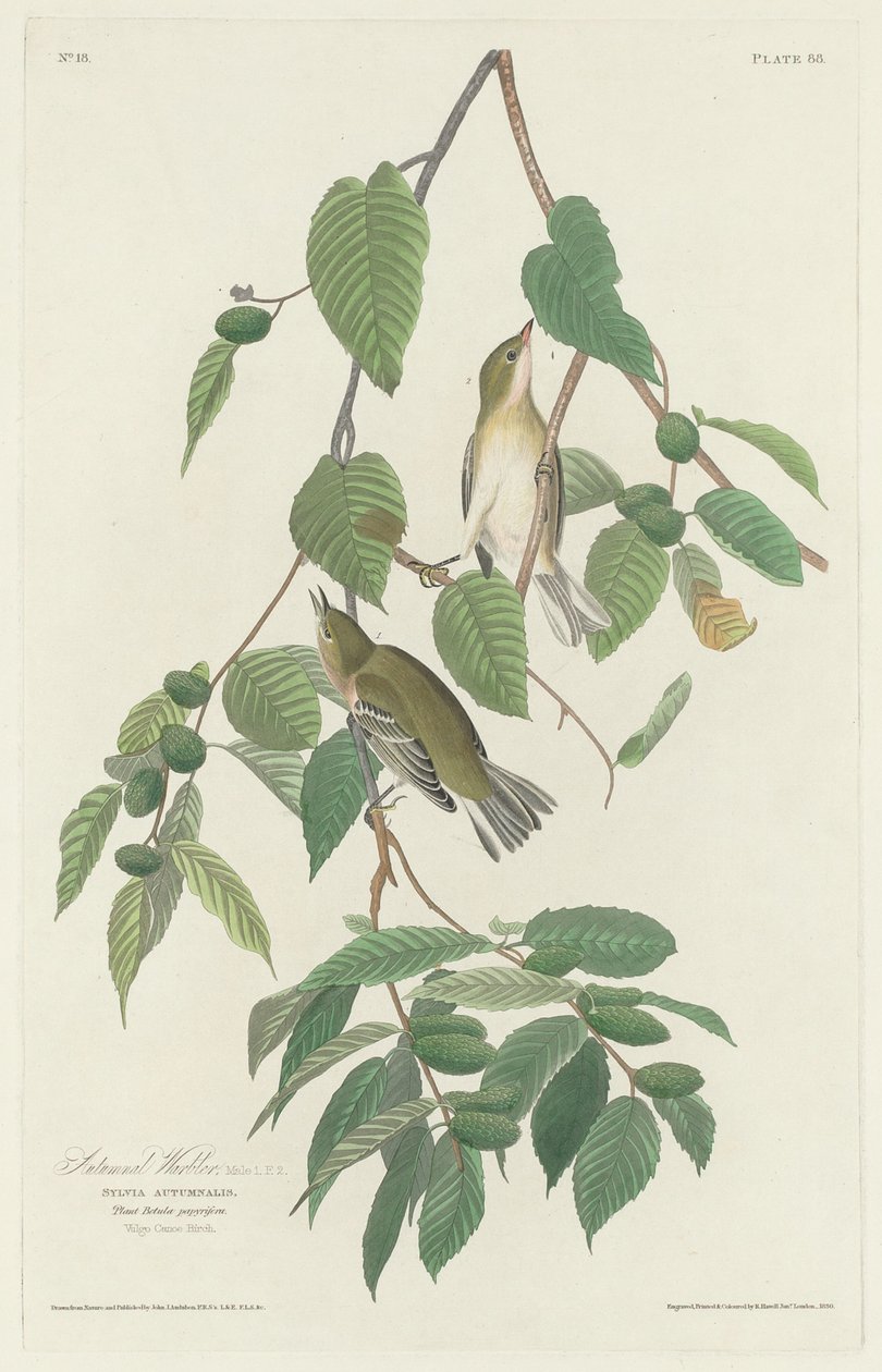 Syksykirkka, 1830. tekijältä Robert Havell