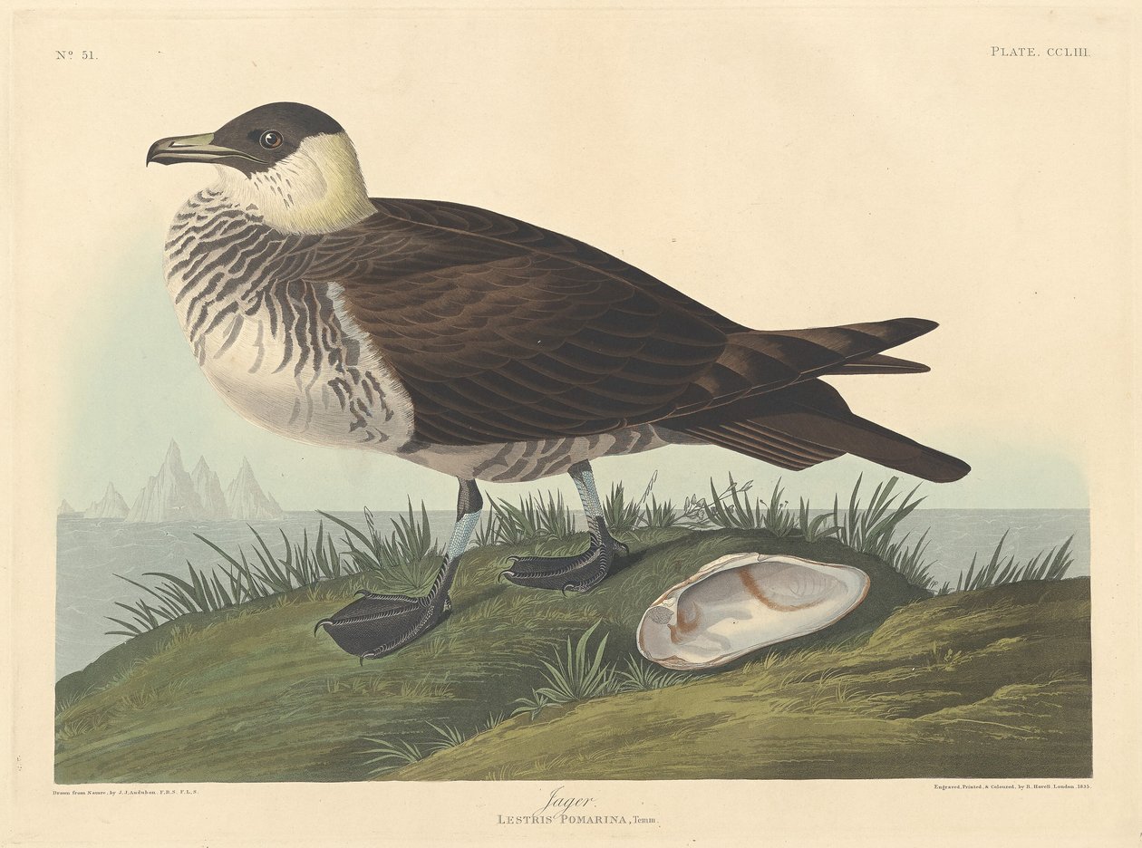 Jager, 1835. tekijältä Robert Havell