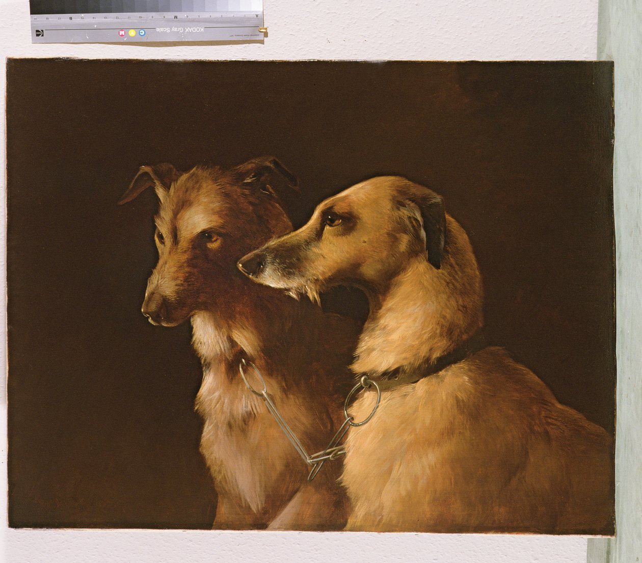 Deer Hounds tekijältä Robert Henry Roe
