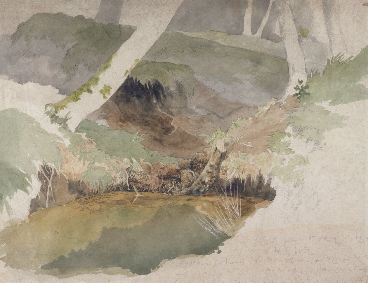 Forest Pool (wc grafiitin päällä paperilla) tekijältä Robert Hills
