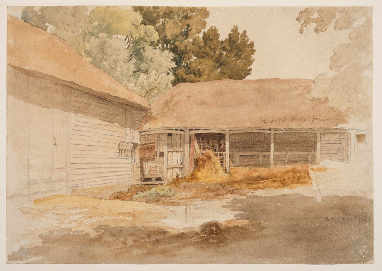 Tutkimus navetta, n. 1820-29 (grafiitti, akvarelli) tekijältä Robert Hills