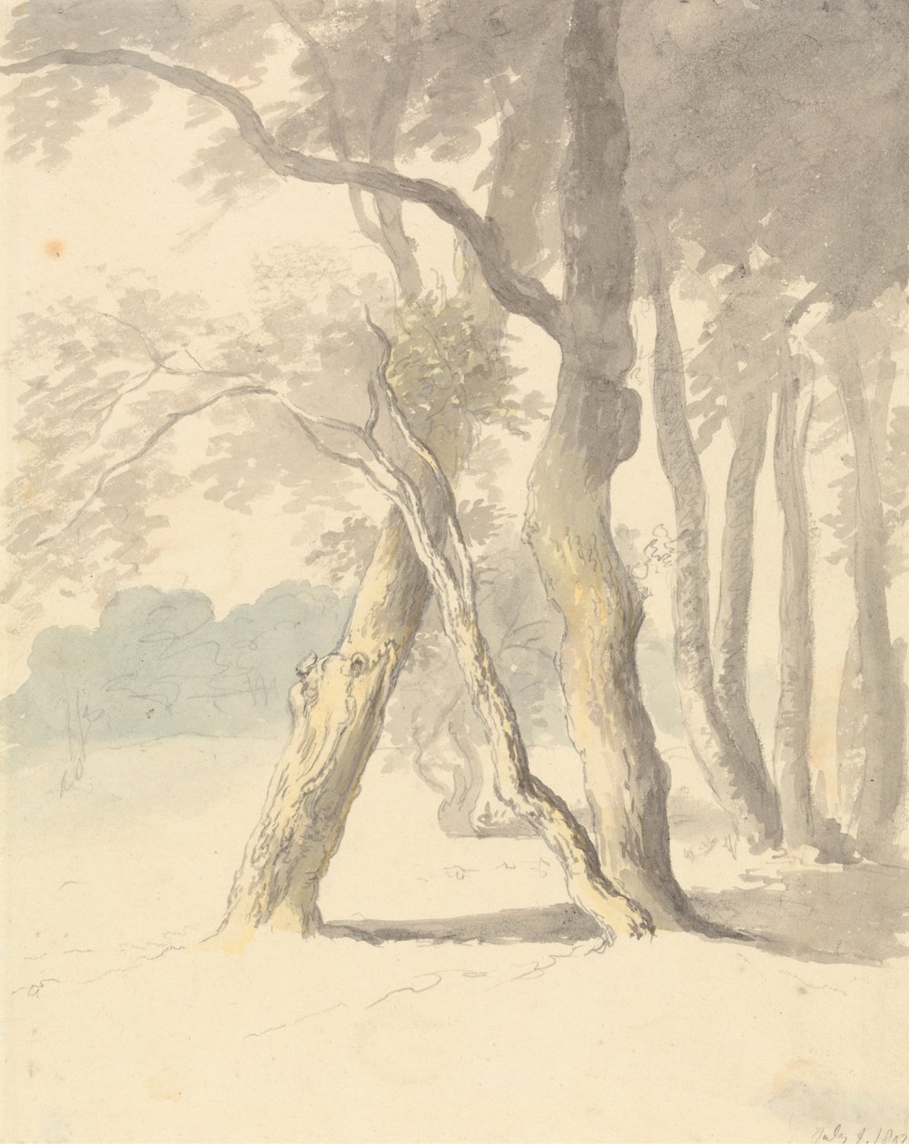Woodland Study tekijältä Robert Hills
