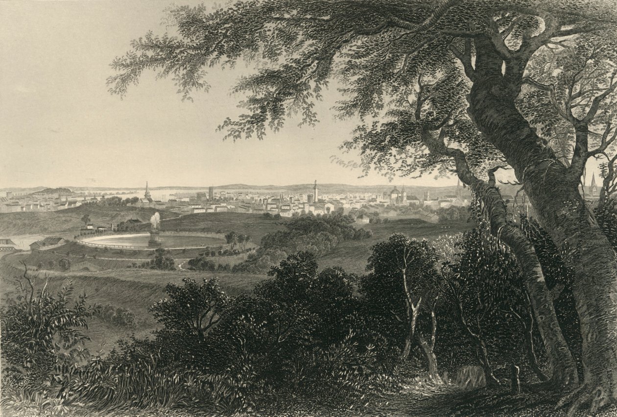 "Baltimoren kaupunki Druid Hill Parkista", 1874. tekijältä Robert Hinshelwood