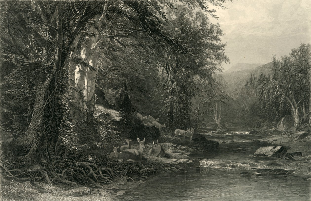"The Adirondack Woods", 1874. tekijältä Robert Hinshelwood