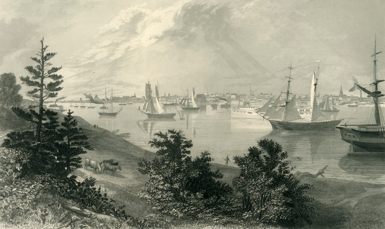 "Detroitin kaupunki Kanadan rannalta", 1872. tekijältä Robert Hinshelwood