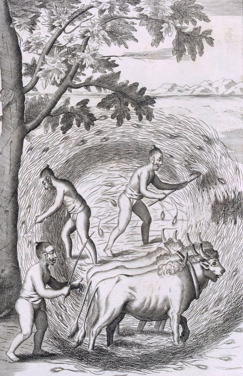 Tapa polttaa riisiä, pubista An Historical Relation of the Island Ceylon. 1681 kaiverrus tekijältä Robert Knox