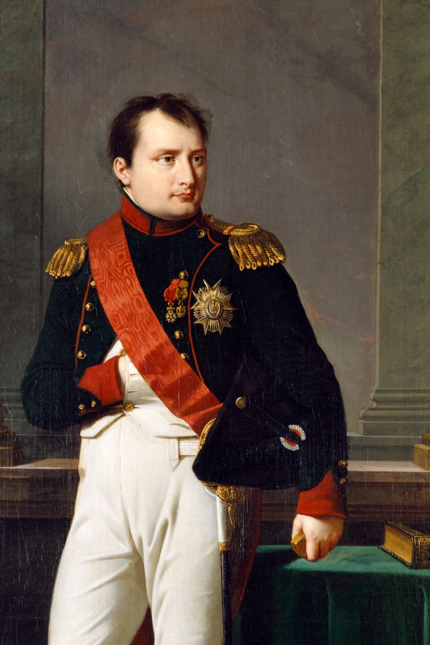Yksityiskohta Napoleon Bonaparten muotokuvasta, 1812 tekijältä Robert Lefevre