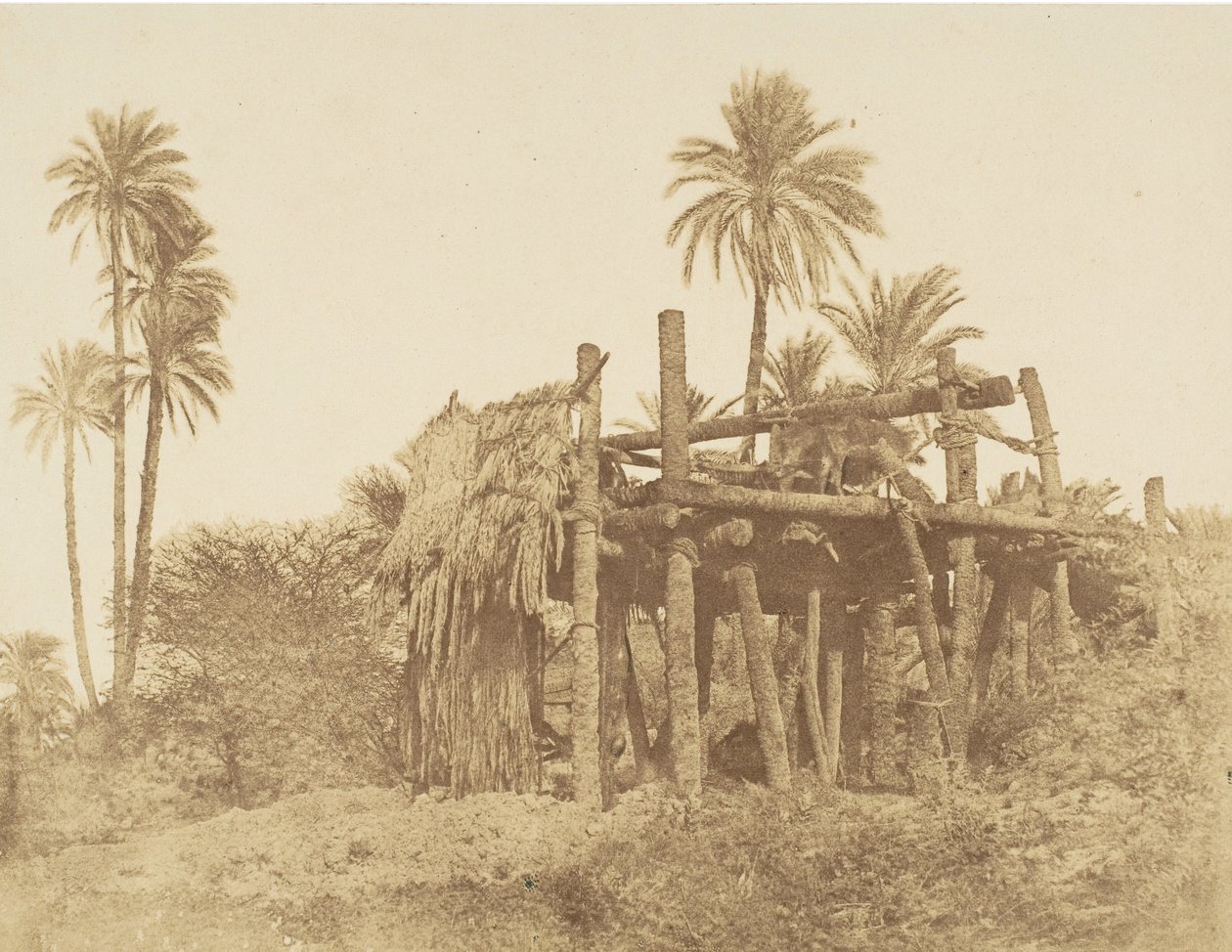Nubian Sakkieh tai vesipyörä, n. 1856. tekijältä Robert Murray.