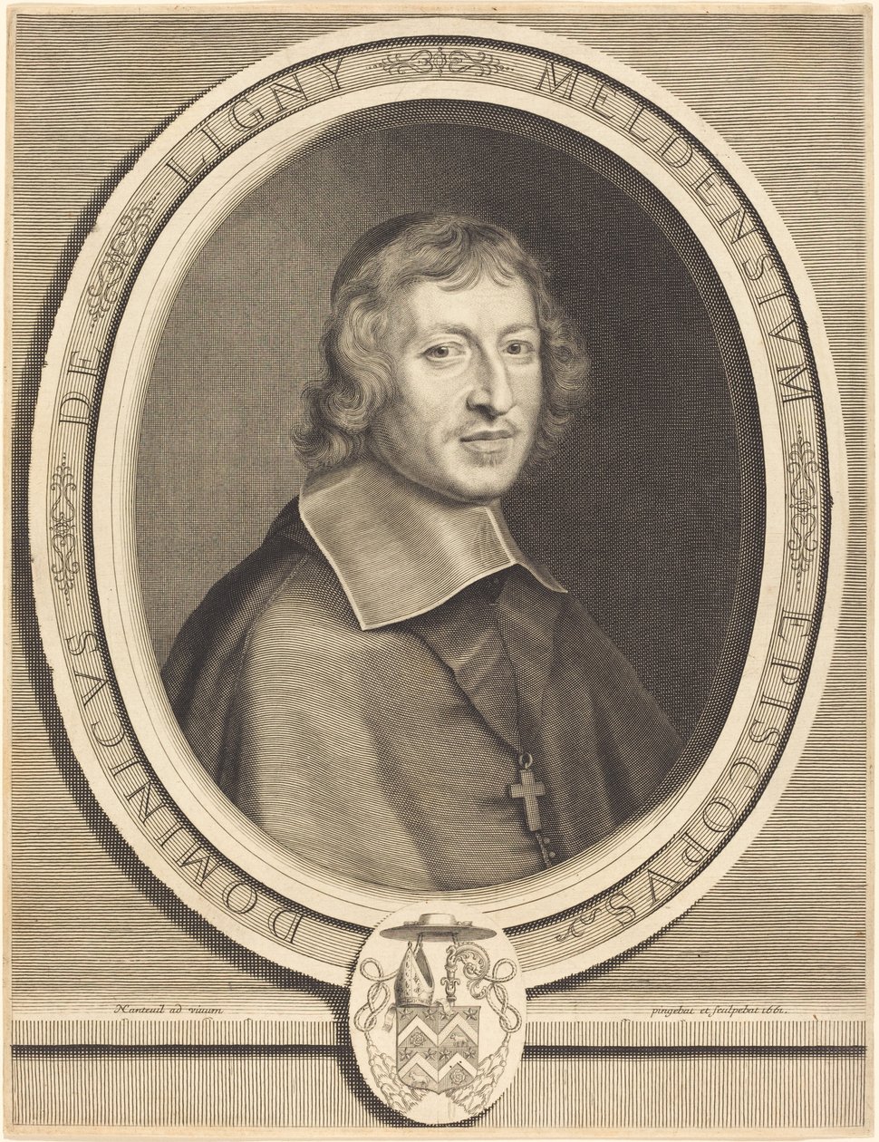 Dominique de Ligny tekijältä Robert Nanteuil