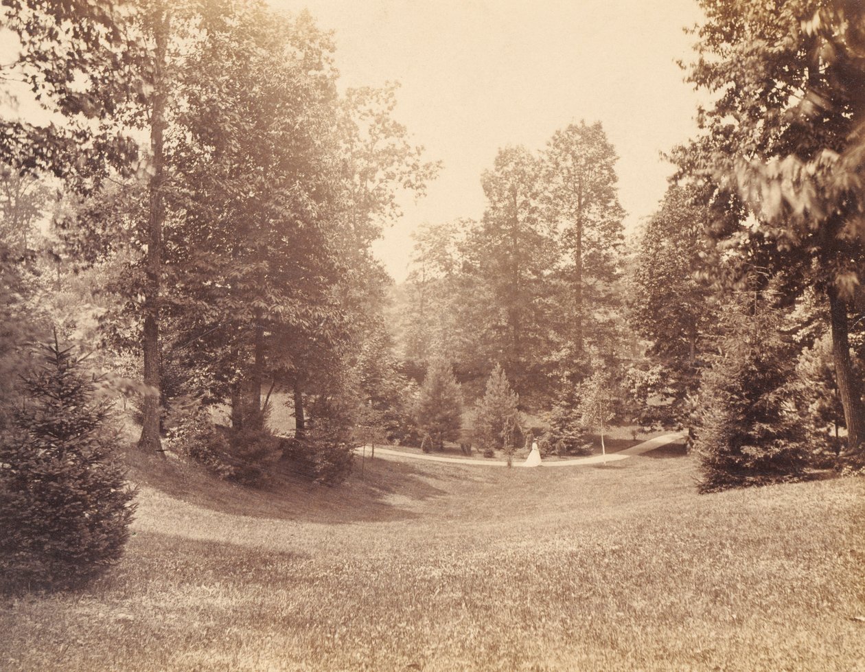 Clarence Howard Clark Estate, salkusta "Views at Chestnutwold" (Näkymiä Chestnutwoldissa). tekijältä Robert Newell