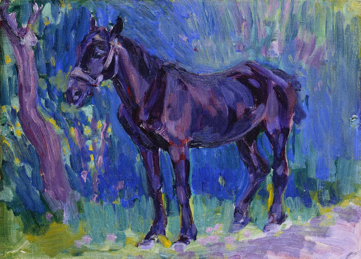Tutkimus Sussex Farm Horse, c. 1904-6 tekijältä Robert Polhill Bevan