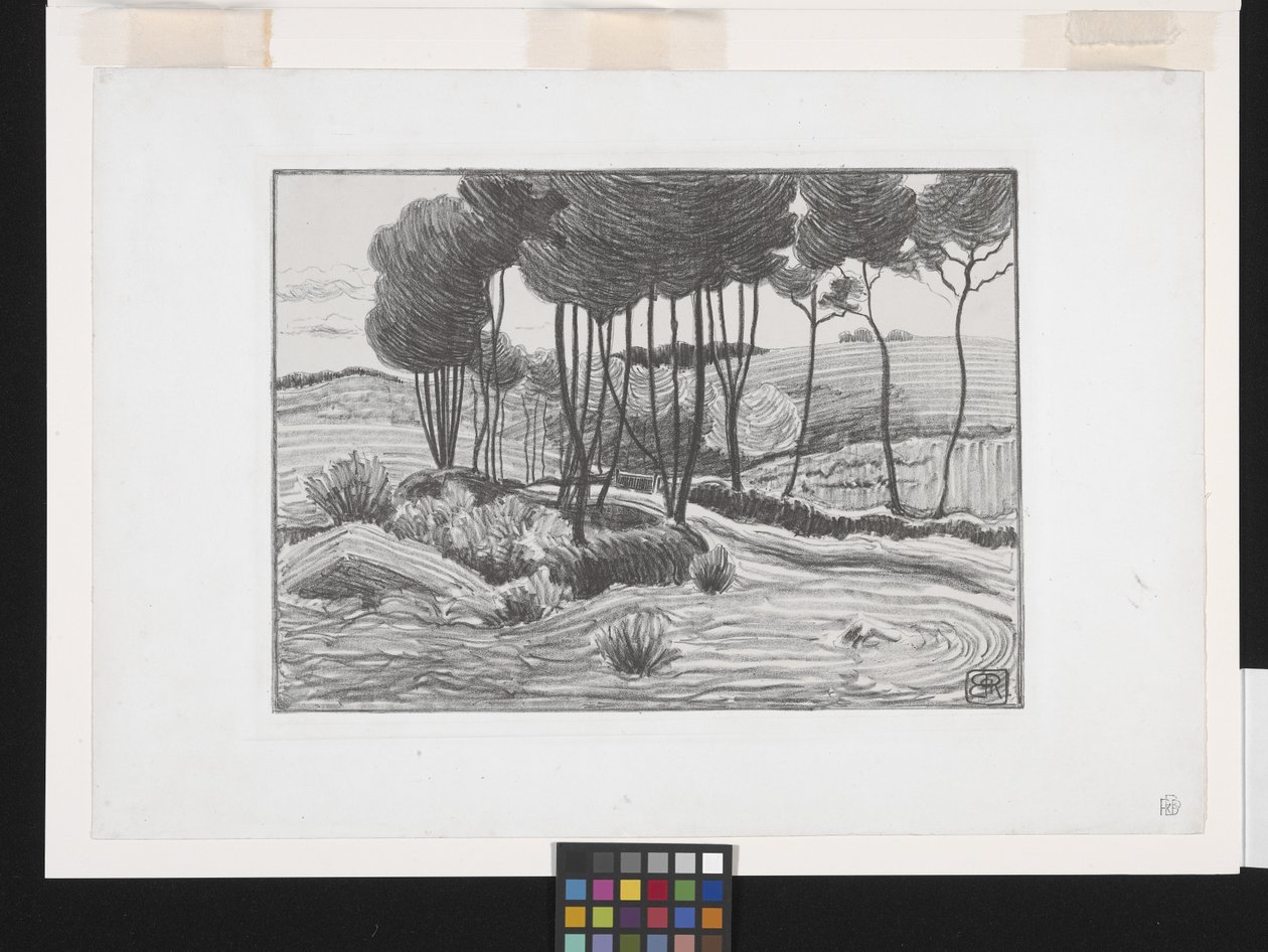 Poppelit (litografia) tekijältä Robert Polhill Bevan