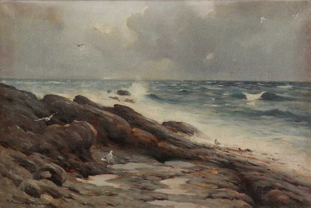Rocky Coastline (öljy kankaalle) tekijältä Robert Russell MacNee
