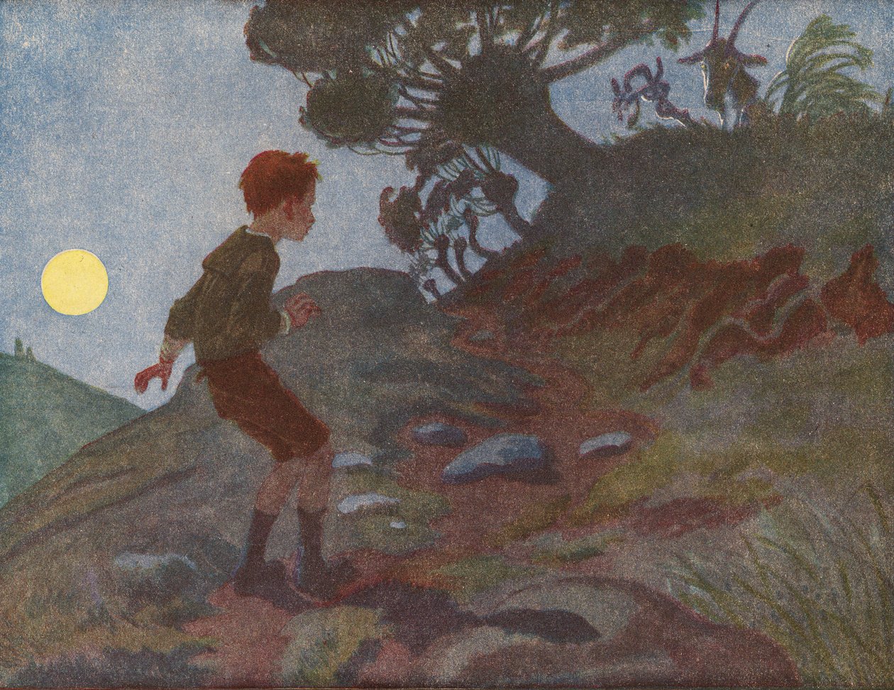 Pimeää pelkäävä poika (värilitro) tekijältä Robert Salles