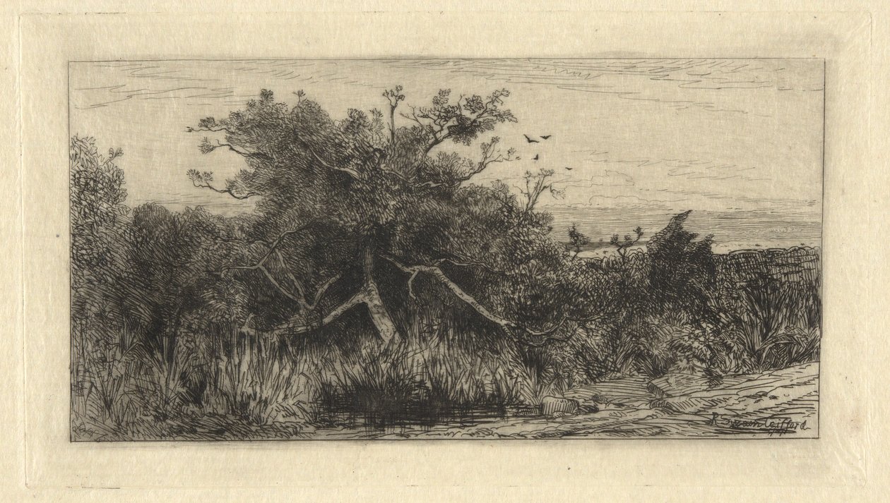 Ryppyinen Puu tekijältä Robert Swain Gifford