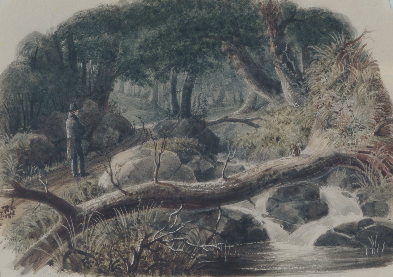 Sisäänkäynti metsään, 1836. tekijältä Robert Walter Weir