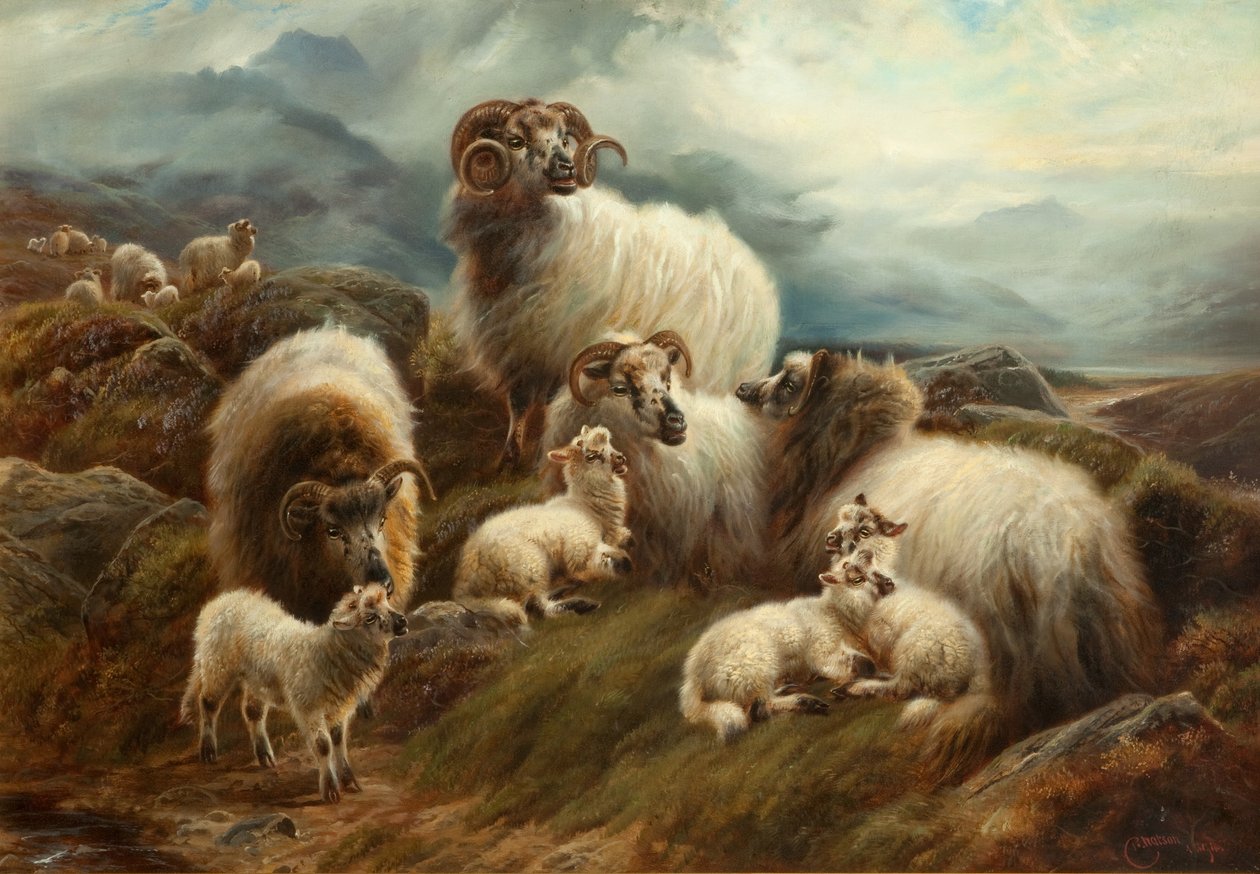 Lammas maisemassa, 1894 tekijältä Robert Watson