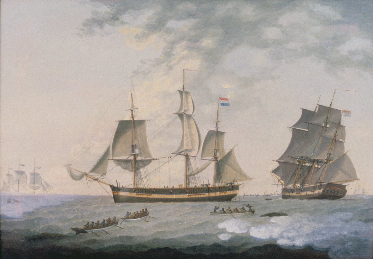 Valaanpyynti arktisella alueella tekijältä Robert Willoughby