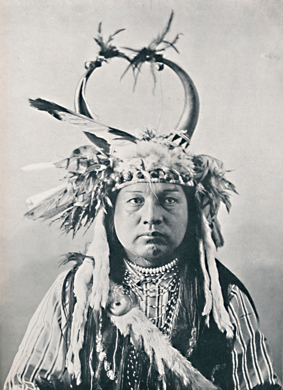 Amerikkalainen puhvelinsarvipäähine, 1912 tekijältä Robert Wilson Shufeldt