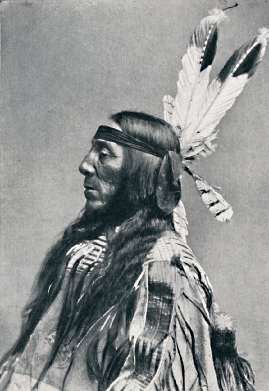 Siouxin profiilinäkymä, 1912 tekijältä Robert Wilson Shufeldt