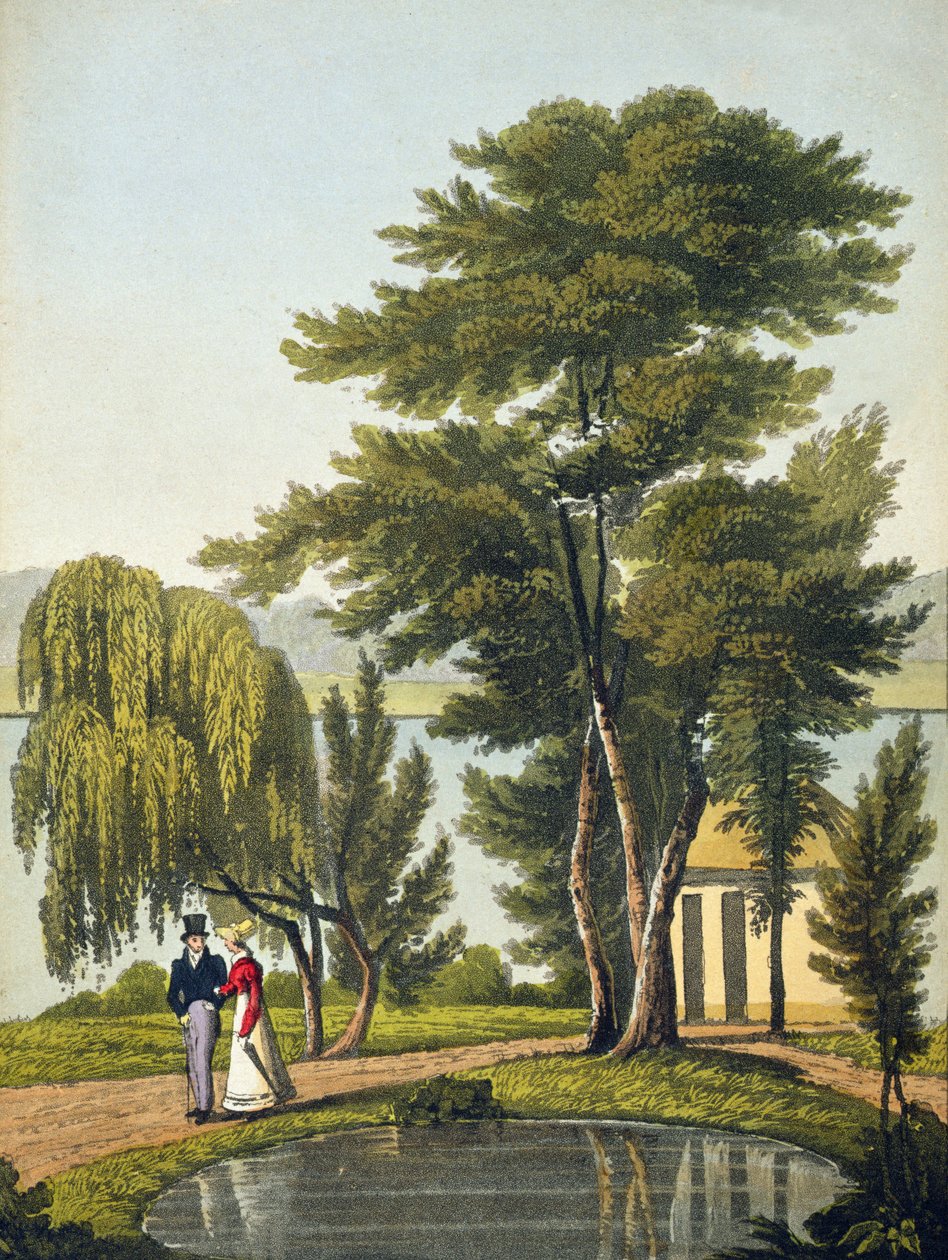 Clifton, teoksesta "The Naturama, or, Nature