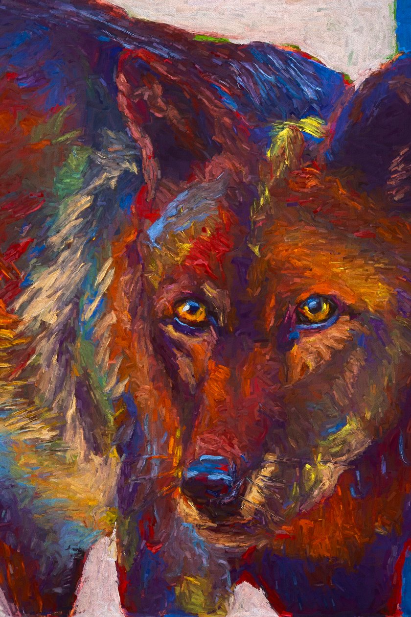 Stare Down, 2019 (öljy paneelille) tekijältä Roberta Murray