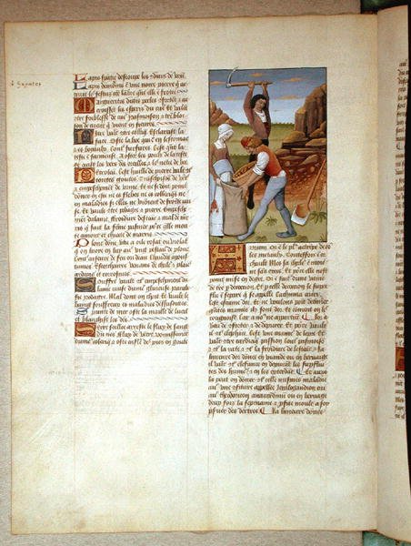 Ms Fr. Fv VI #1 fol.98v Kaivoskulta, kuvitus Matthaeus Plateariuksen (k. n. 1161) yksinkertaisten lääkkeiden kirjasta, n. 1470. tekijältä Robinet Testard