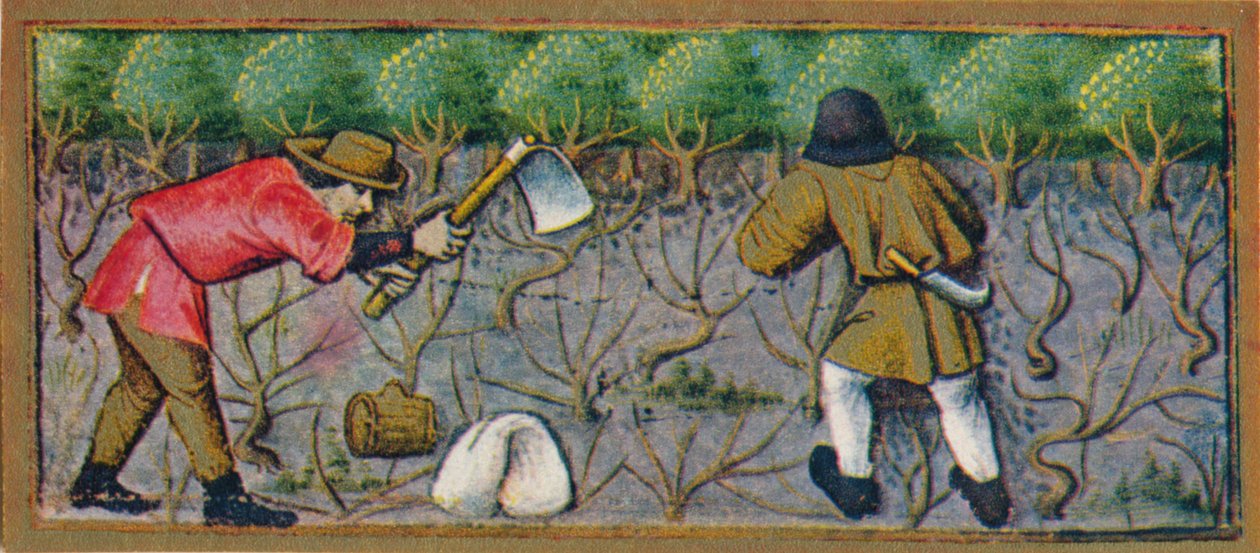 Maaliskuu - työskentelee viinitarhassa, 1400-luku, 1939. tekijältä Robinet Testard