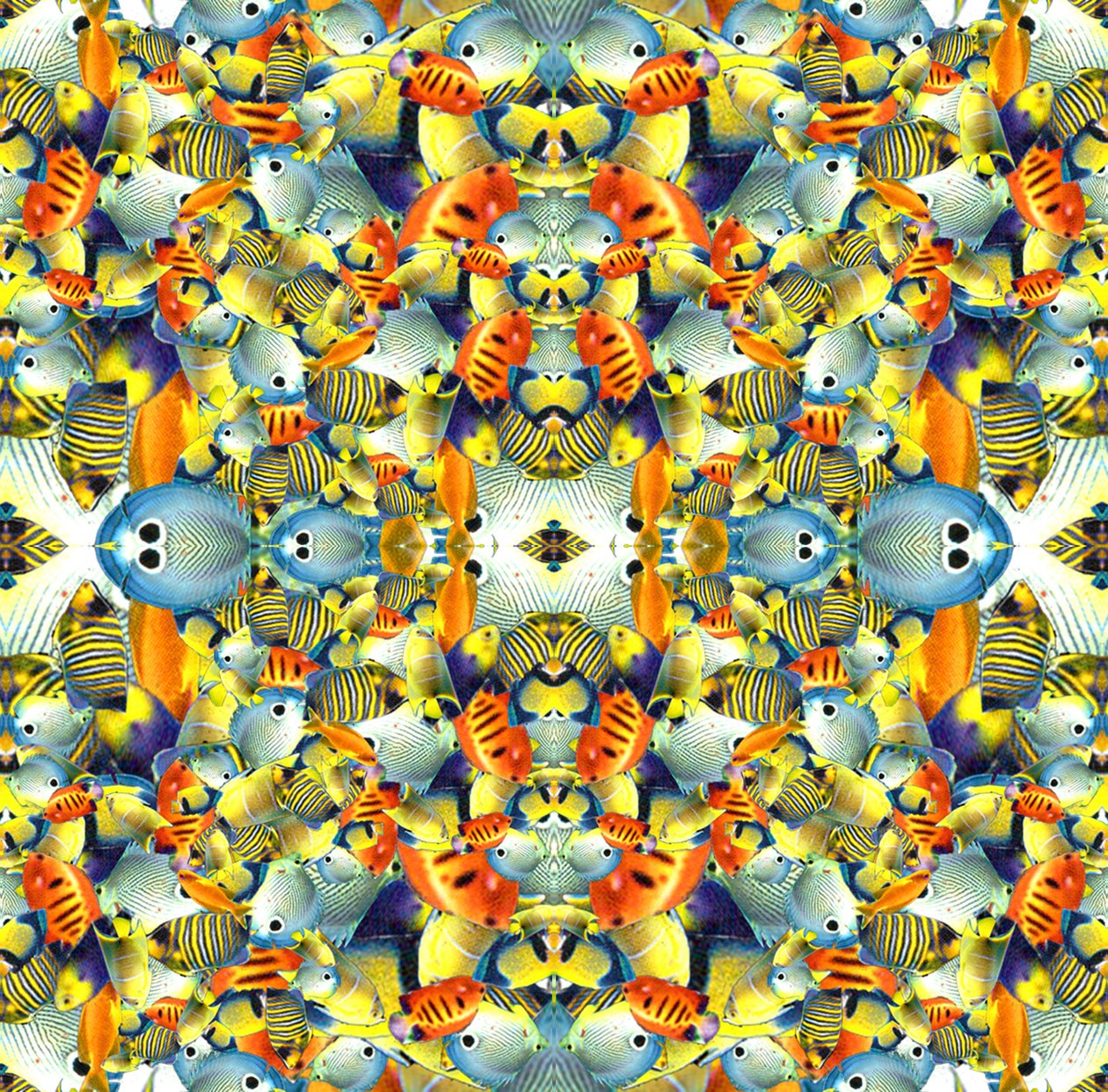 Kaleidoskooppi kala laatta tekijältä Robyn Parker