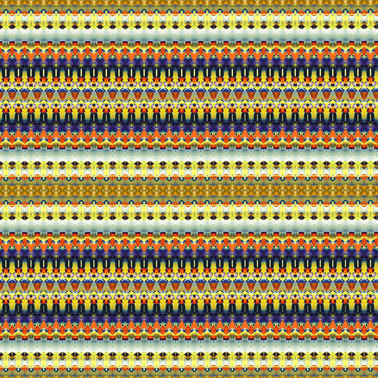 Tribal Orange Stripe tekijältä Robyn Parker