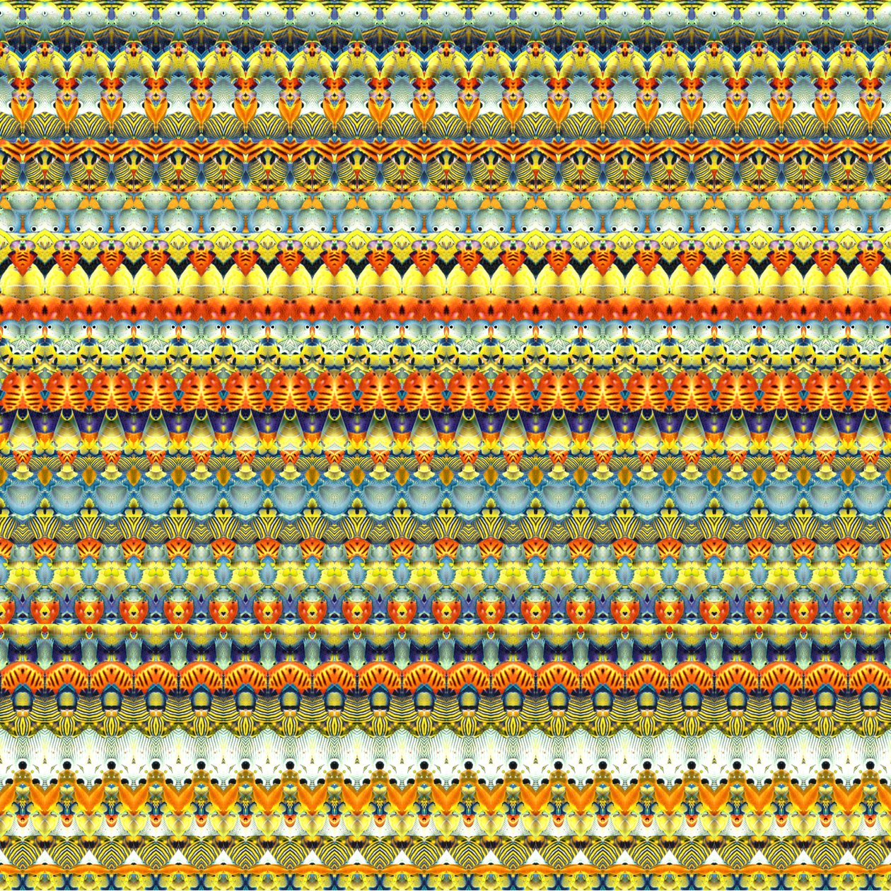 Tribal Stripe 2 tekijältä Robyn Parker