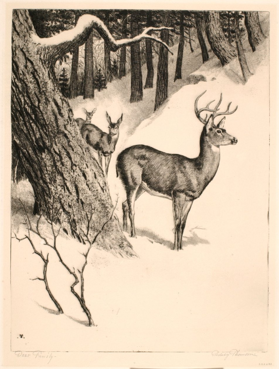 Peuraperhe tekijältä Rodney Thomson