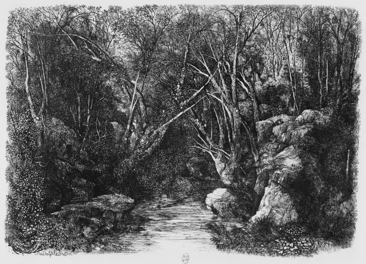 Puro puiden läpi, 1880 tekijältä Rodolphe Bresdin