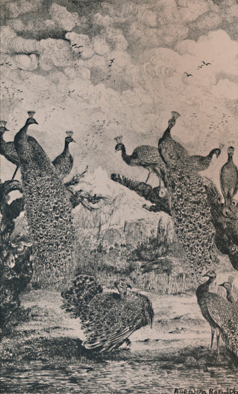 Peacocks, 1869, 1946 tekijältä Rodolphe Bresdin