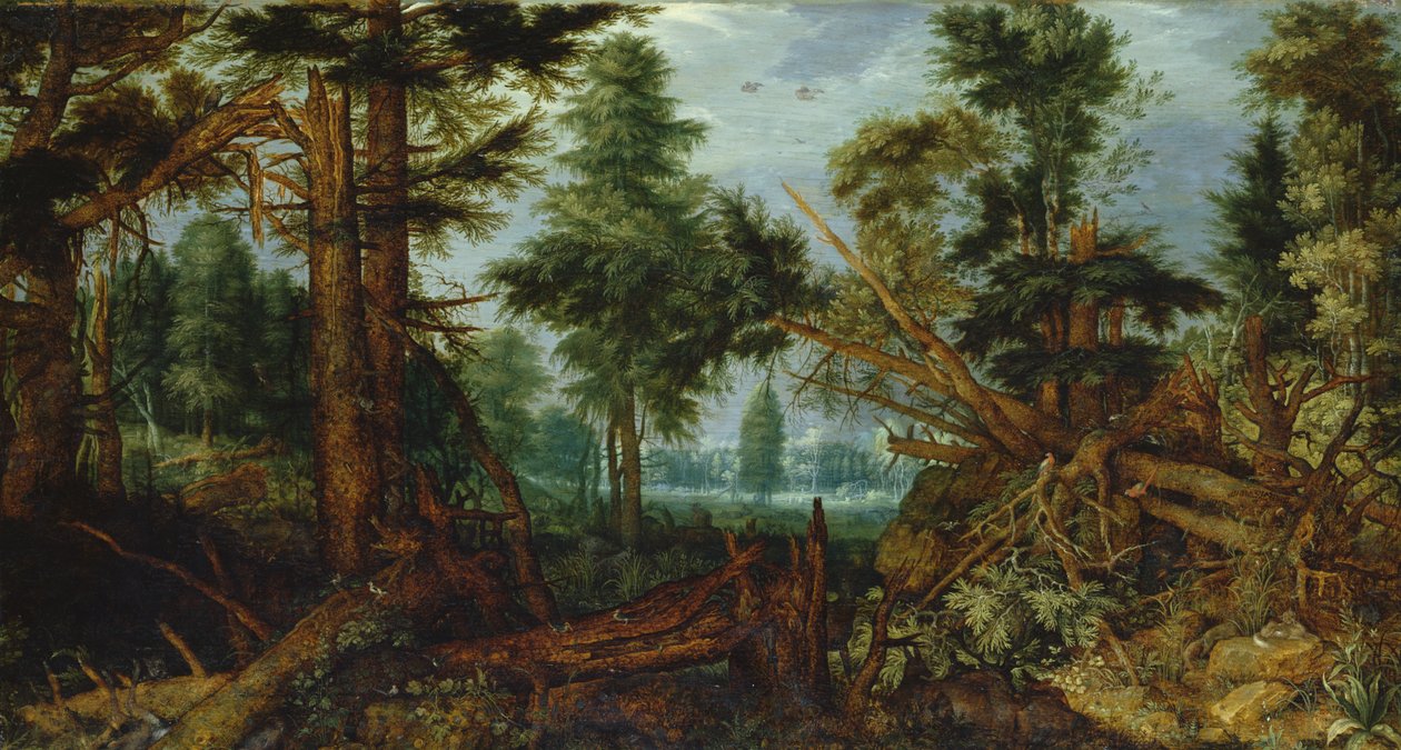 Woods myrskyn jälkeen tekijältä Roelandt Jacobsz. Savery
