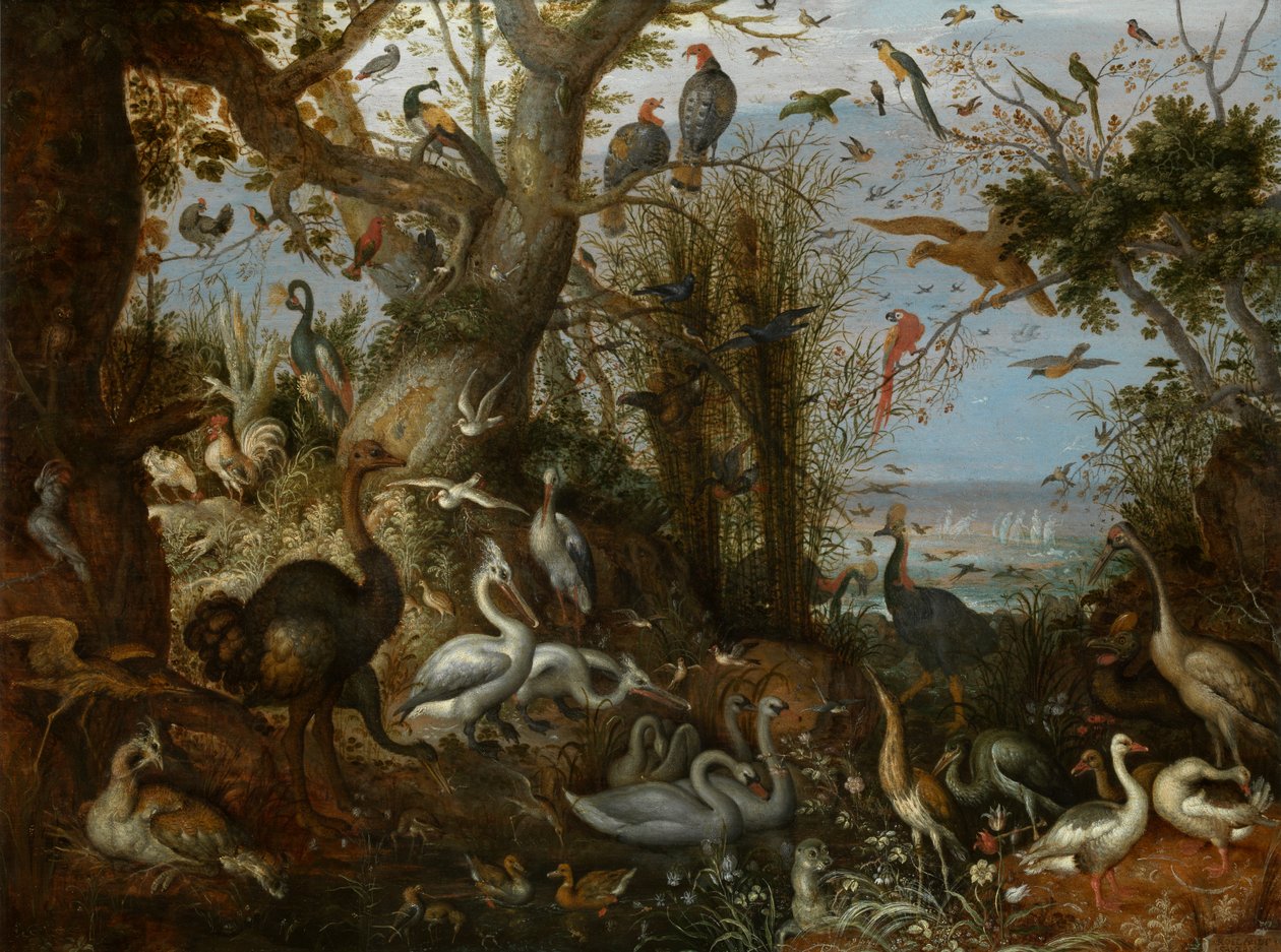 Siipikarja tekijältä Roelandt Jacobsz. Savery