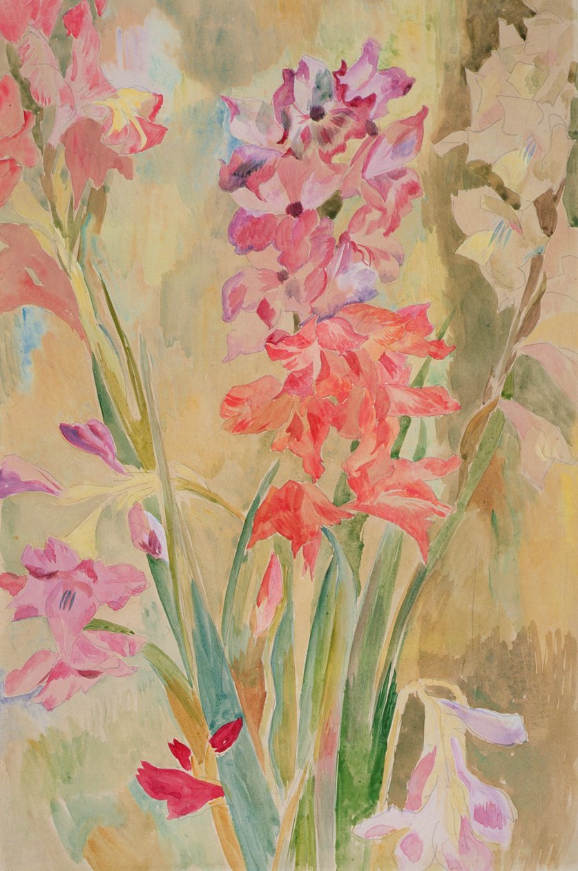 Gladioli, c.1915 (wc on paper) tekijältä Roger Eliot Fry