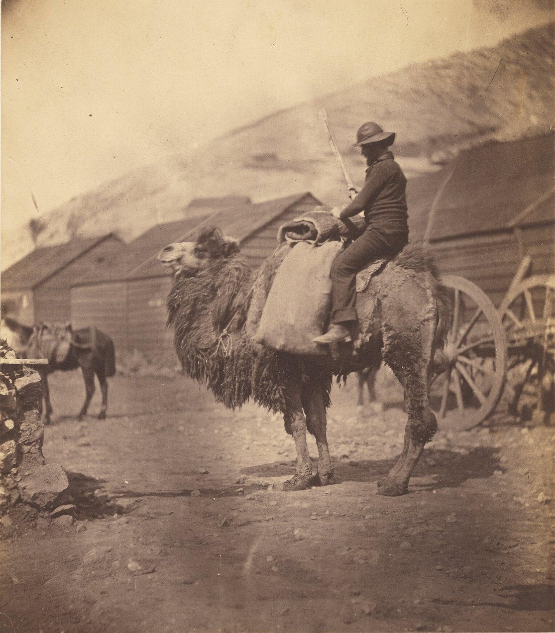 [Kamelilla ratsastava mies] tekijältä Roger Fenton