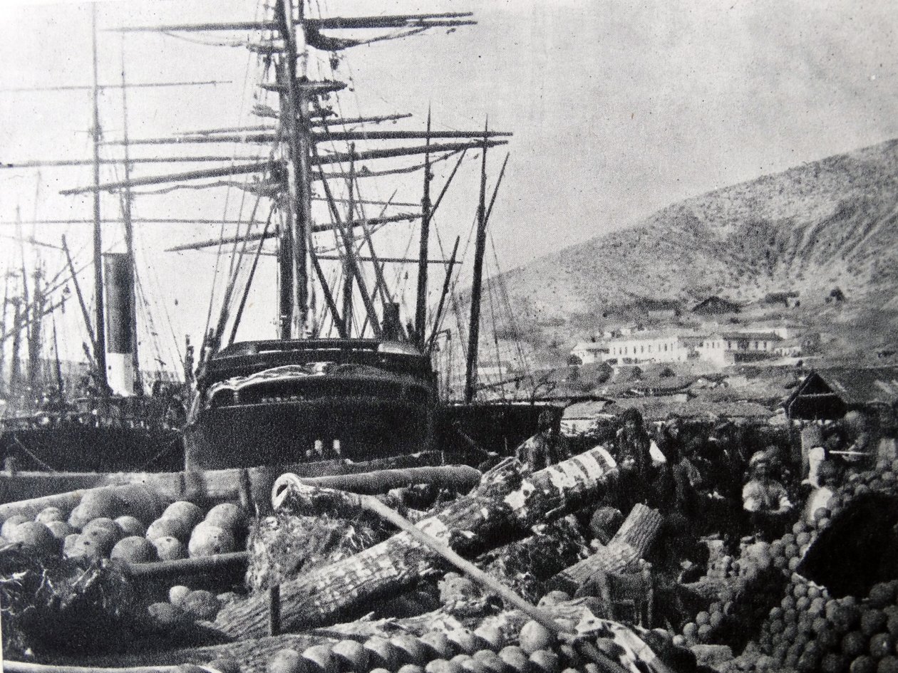 Ordnance Wharf, Balaclava tekijältä Roger Fenton