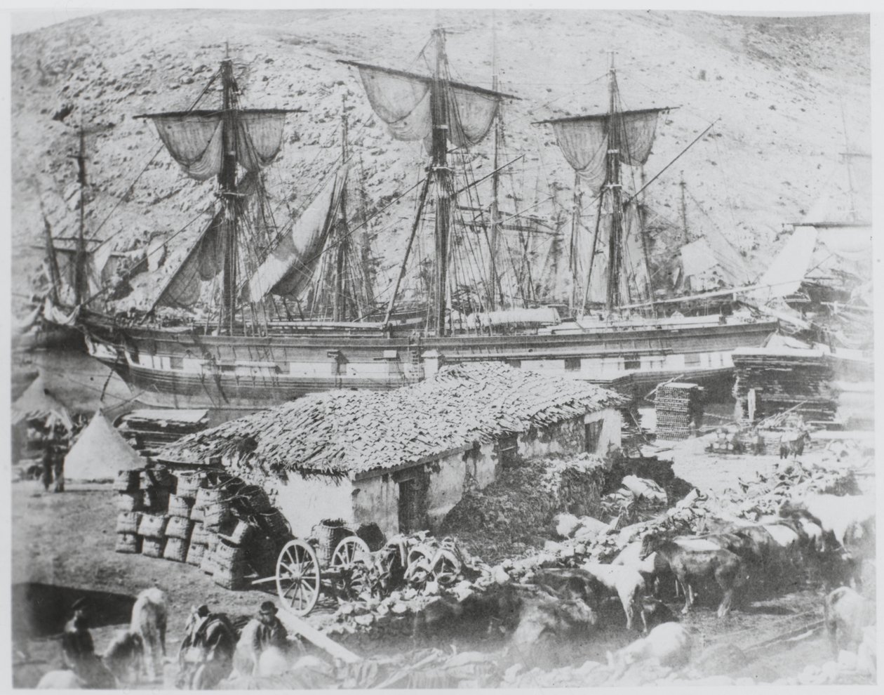 Nautalaituri Balaklavan satamassa tekijältä Roger Fenton