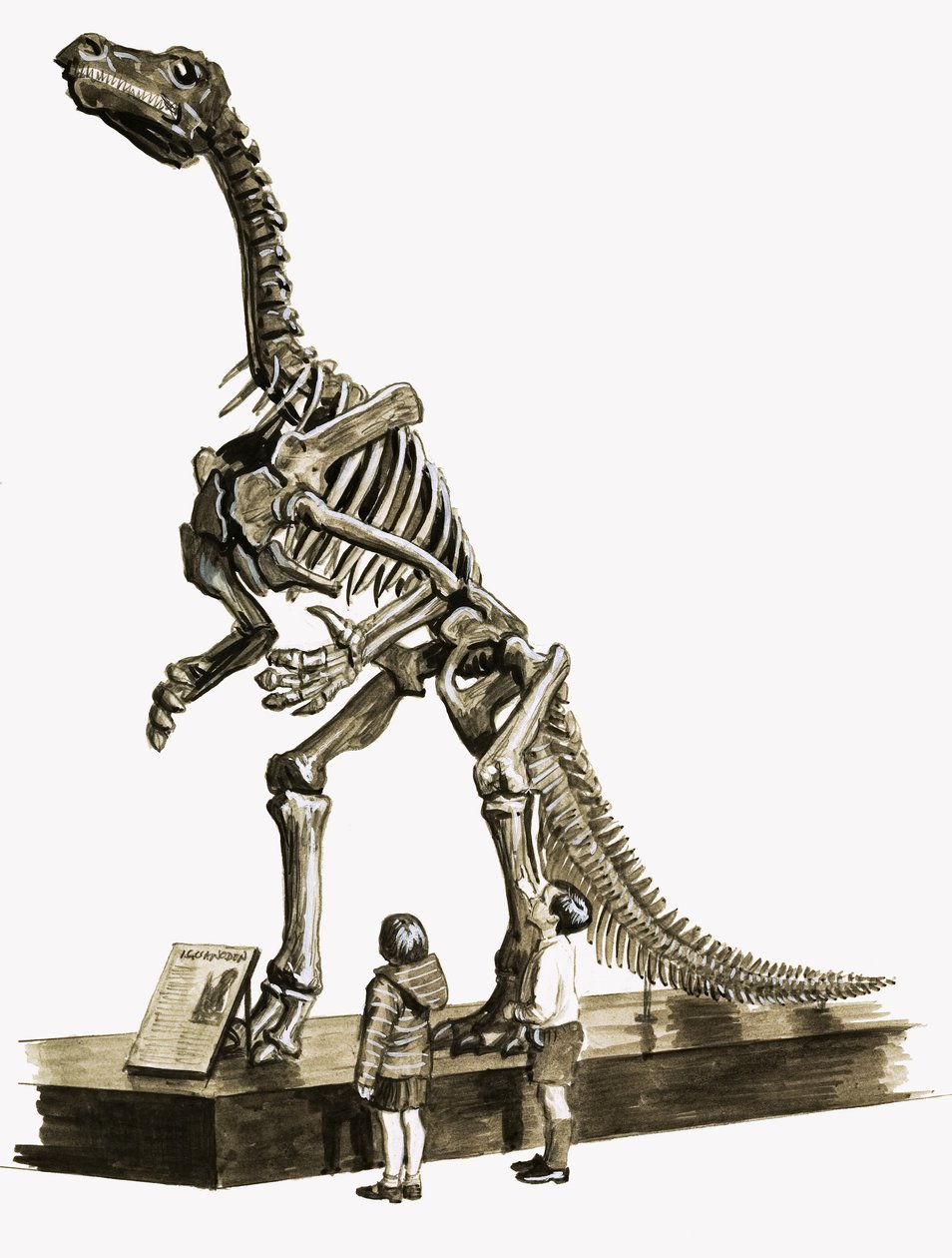 Dinosaurusten päivinä: Sata miljoonaa vuotta vanha mysteeri tekijältä Roger Payne