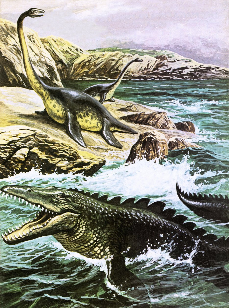 Plesiosaurus (ylhäällä) ja Tylosaurus (alhaalla). tekijältä Roger Payne
