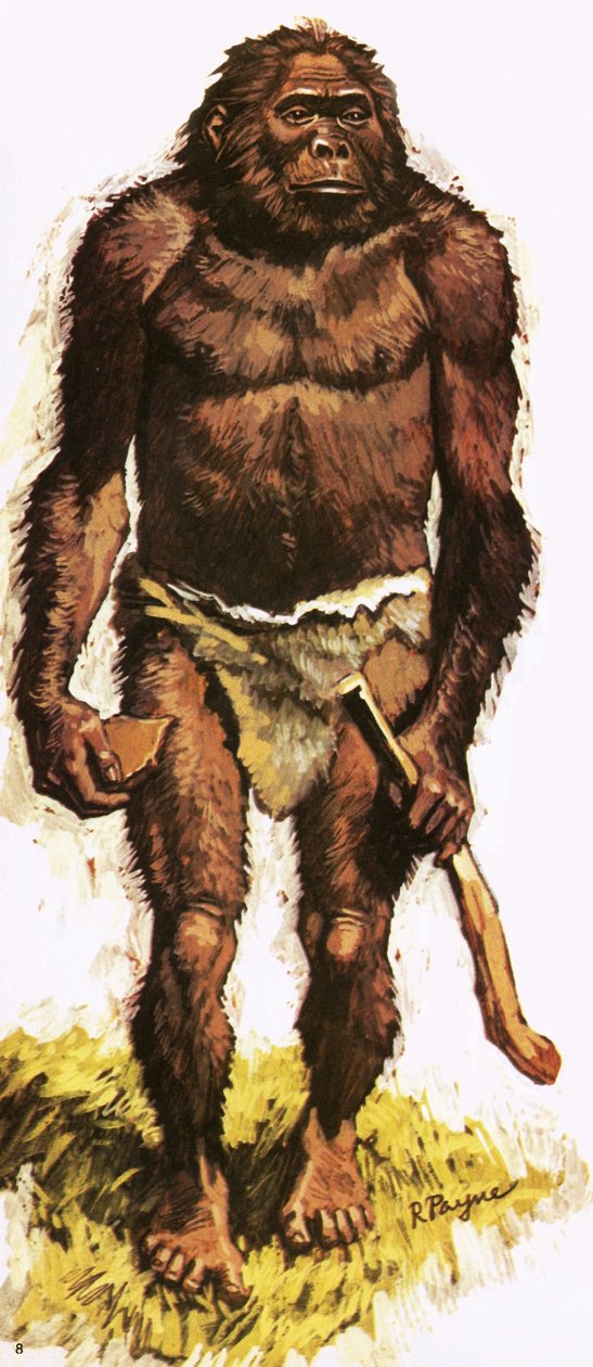 Esihistoriallinen ihminen tekijältä Roger Payne
