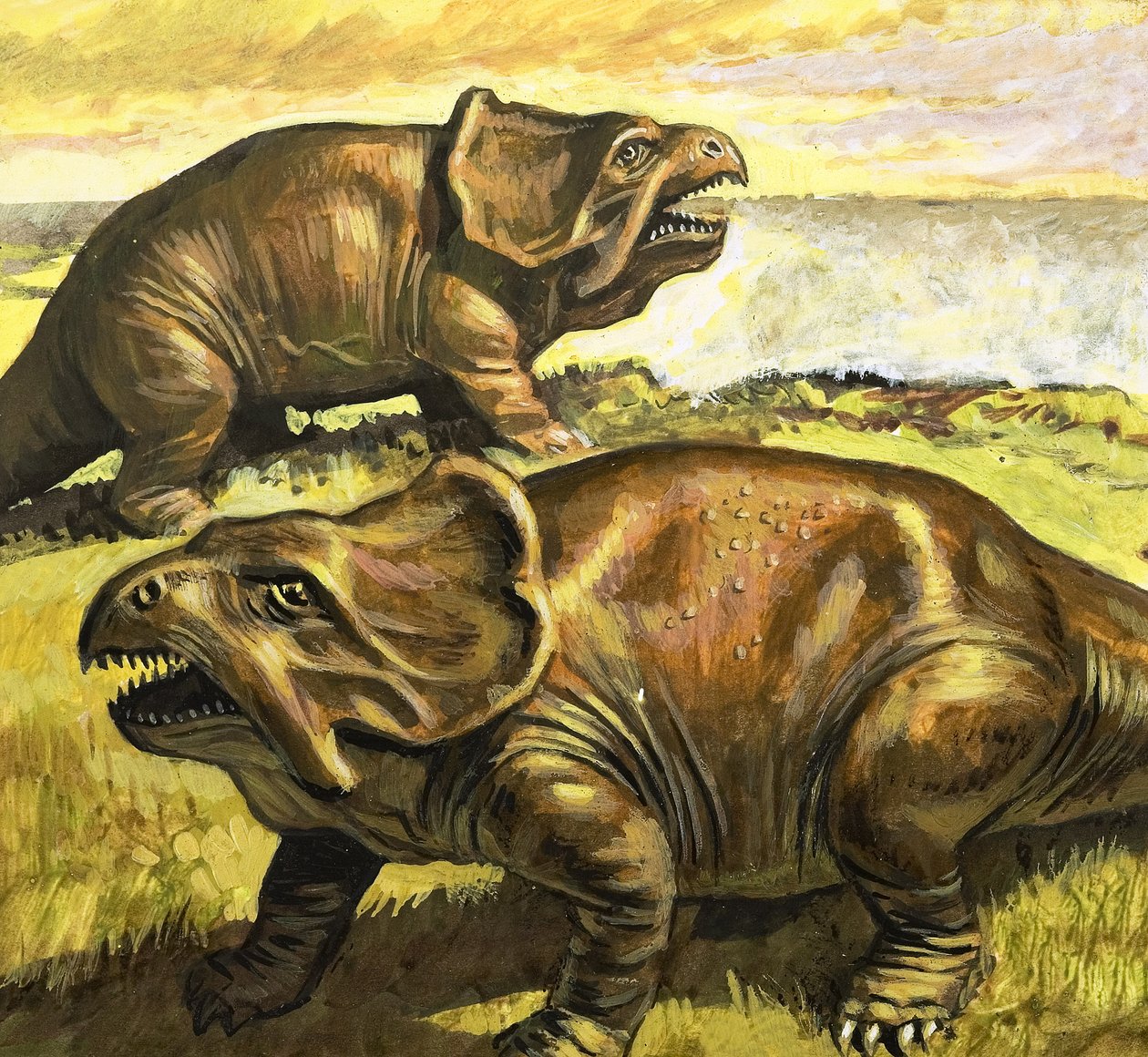 Protoceratops, kuvitus kirjasta 