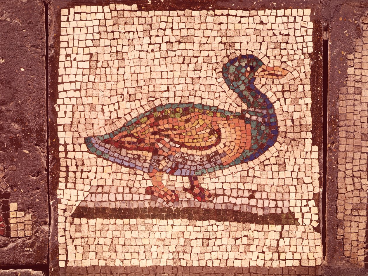 Ankka, yksityiskohta elokuvasta Orpheus Charming the Animals (mosaiikki) tekijältä Roman